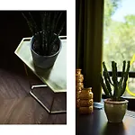 V Fizeaustraat 4* Amszterdam