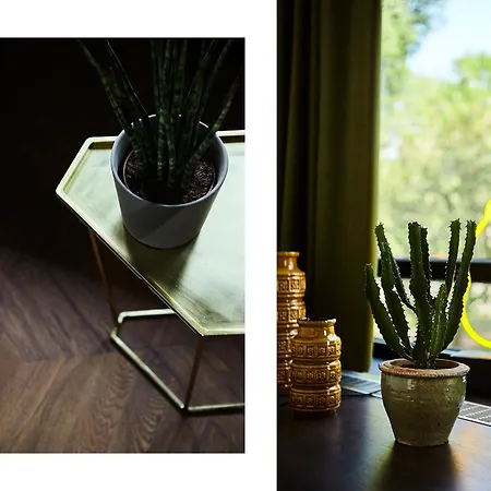 V フィゾーストラート 4* アムステルダム