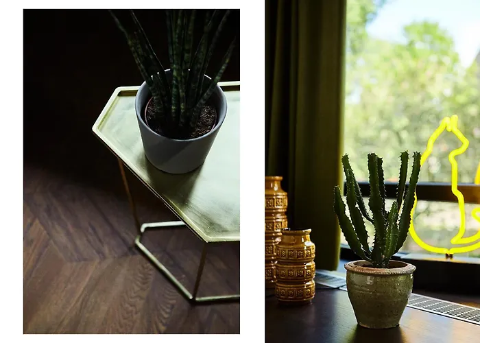 V Fizeaustraat 4* Amsterdam